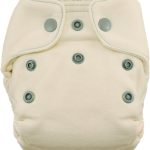 Thirsties Snap Natural Newborn Bamboo Fitted Cloth Diaper, Fin 1 Count (Pack of 1)